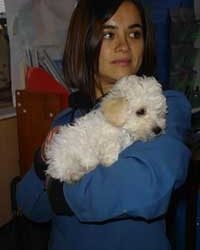Mis mascotas