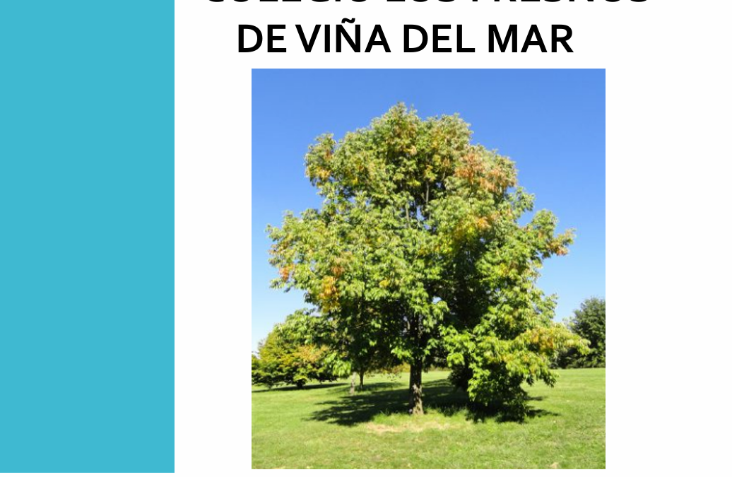 Cuenta Pública Periodo 2025