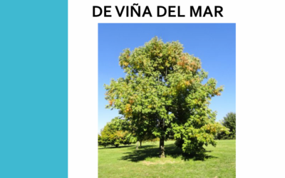 Cuenta Pública Periodo 2025